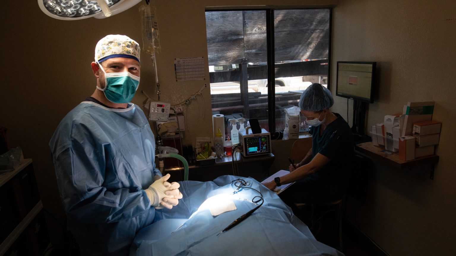 EMERGENCY CREDENTIALED VETERINARY TECHNICIAN visual data 7