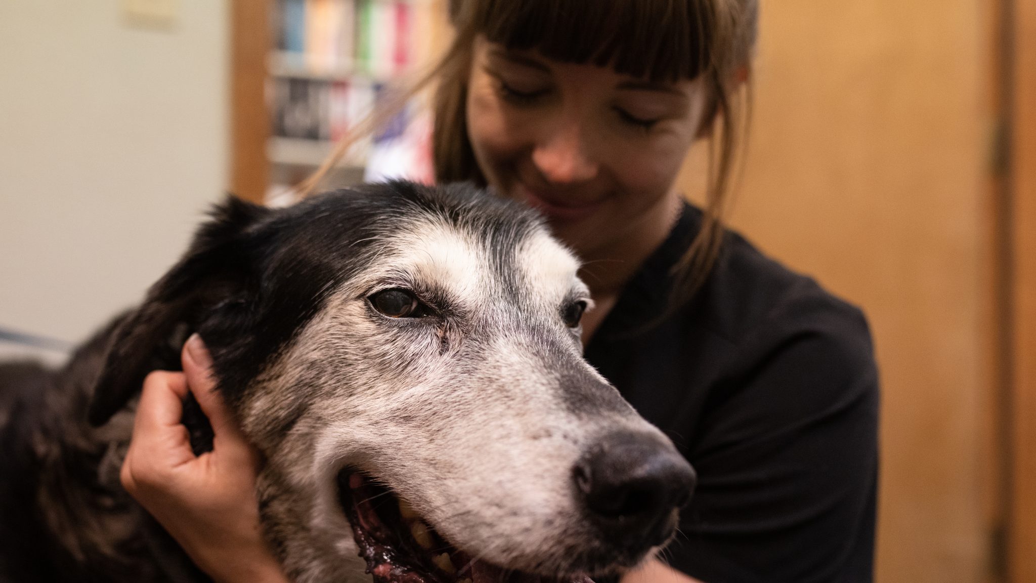 Comprehensive Dental Care for Cats & Dogs Burton Creek Veterinary Clinic