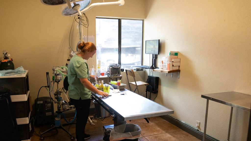 Our Facility Burton Creek Veterinary Clinic